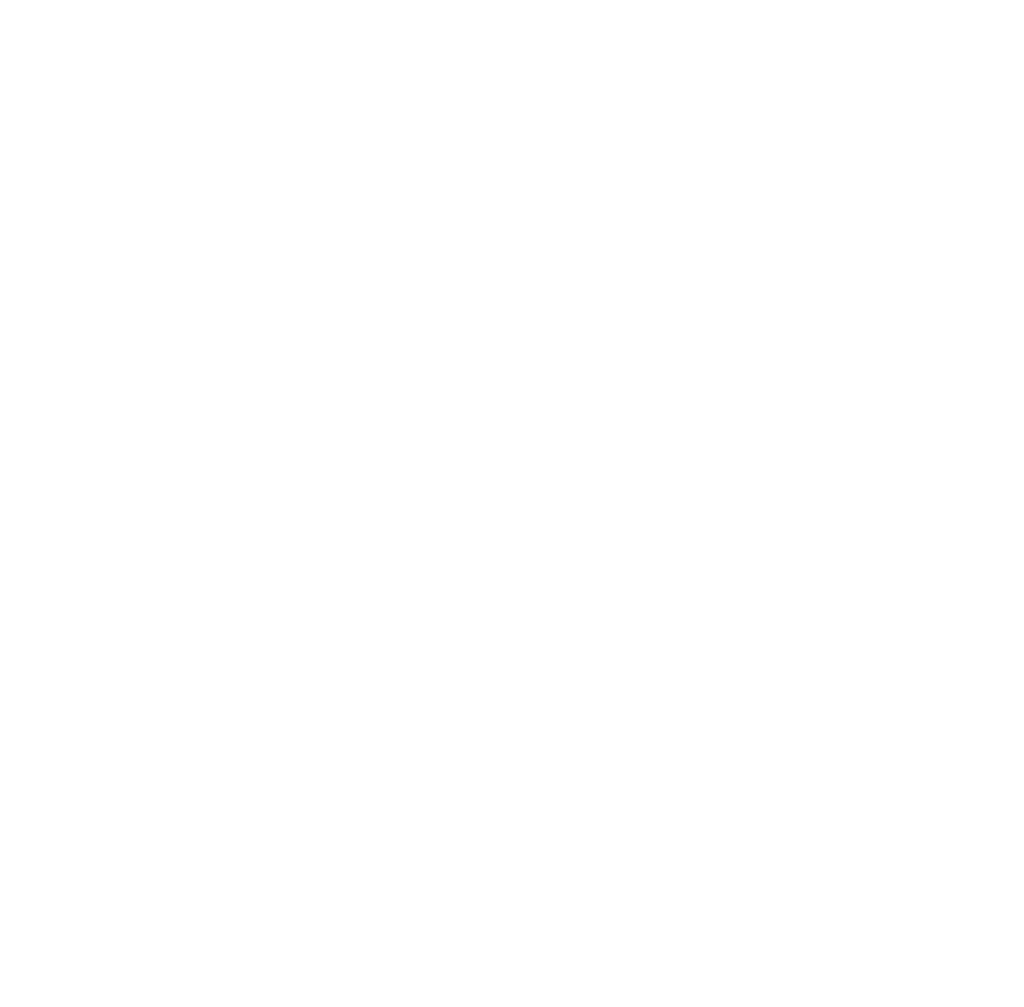 Legal Vegan Network Logo in white (Large)
